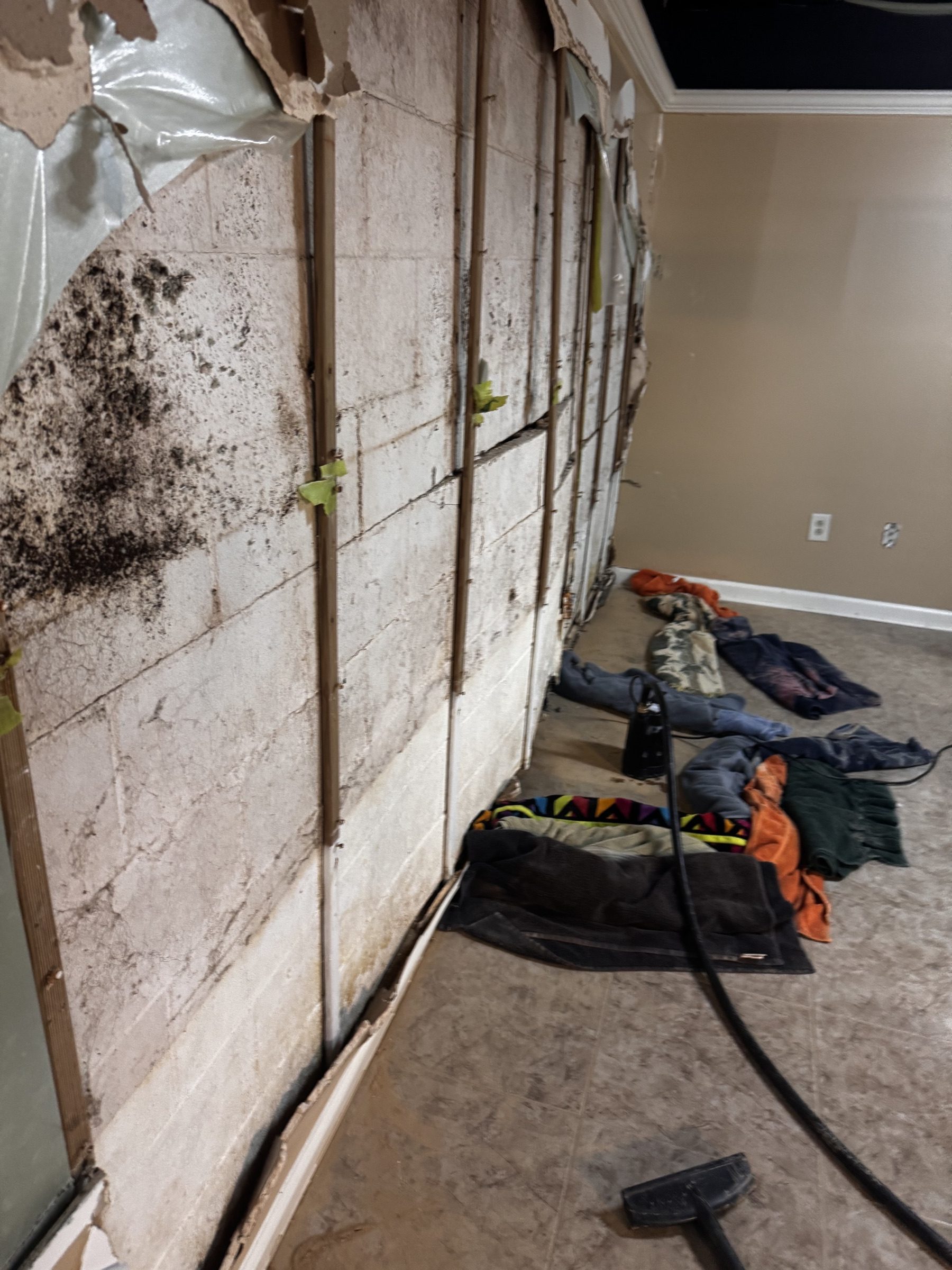 Interior wall with water staining and mould growth on exposed block behind removed finishes